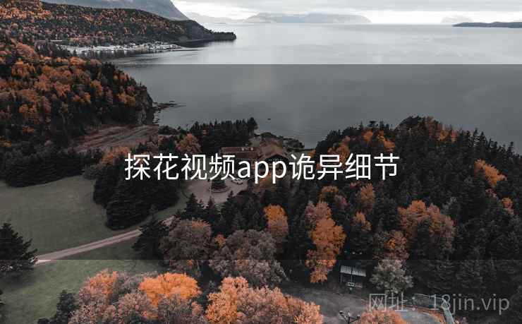 探花视频app诡异细节