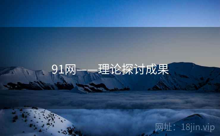 91网——理论探讨成果