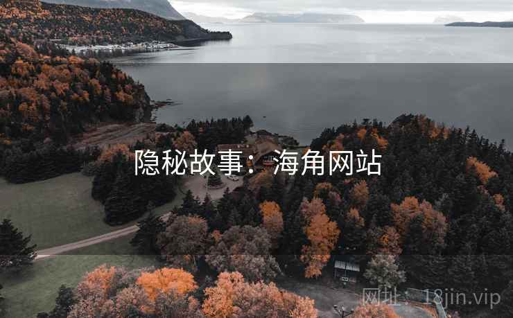 隐秘故事：海角网站
