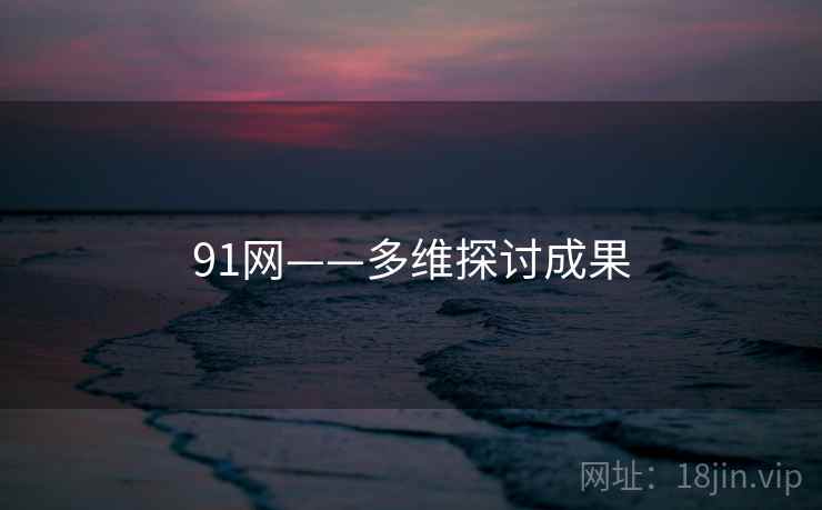 91网——多维探讨成果