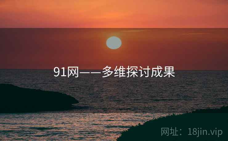 91网——多维探讨成果