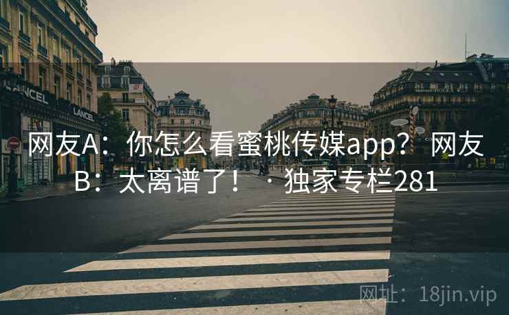 网友A：你怎么看蜜桃传媒app？ 网友B：太离谱了！ · 独家专栏281